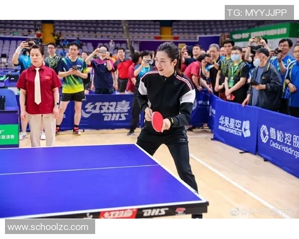 乒乓球新手必看团队协作技巧与入门指南助你快速提升球技