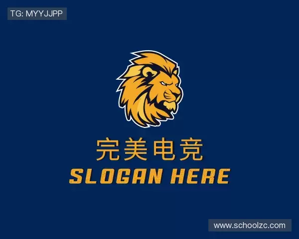 认识完美电竞